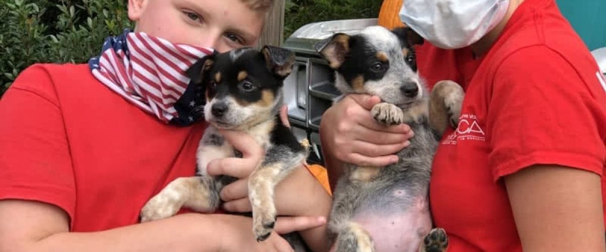 Two children holding puppies